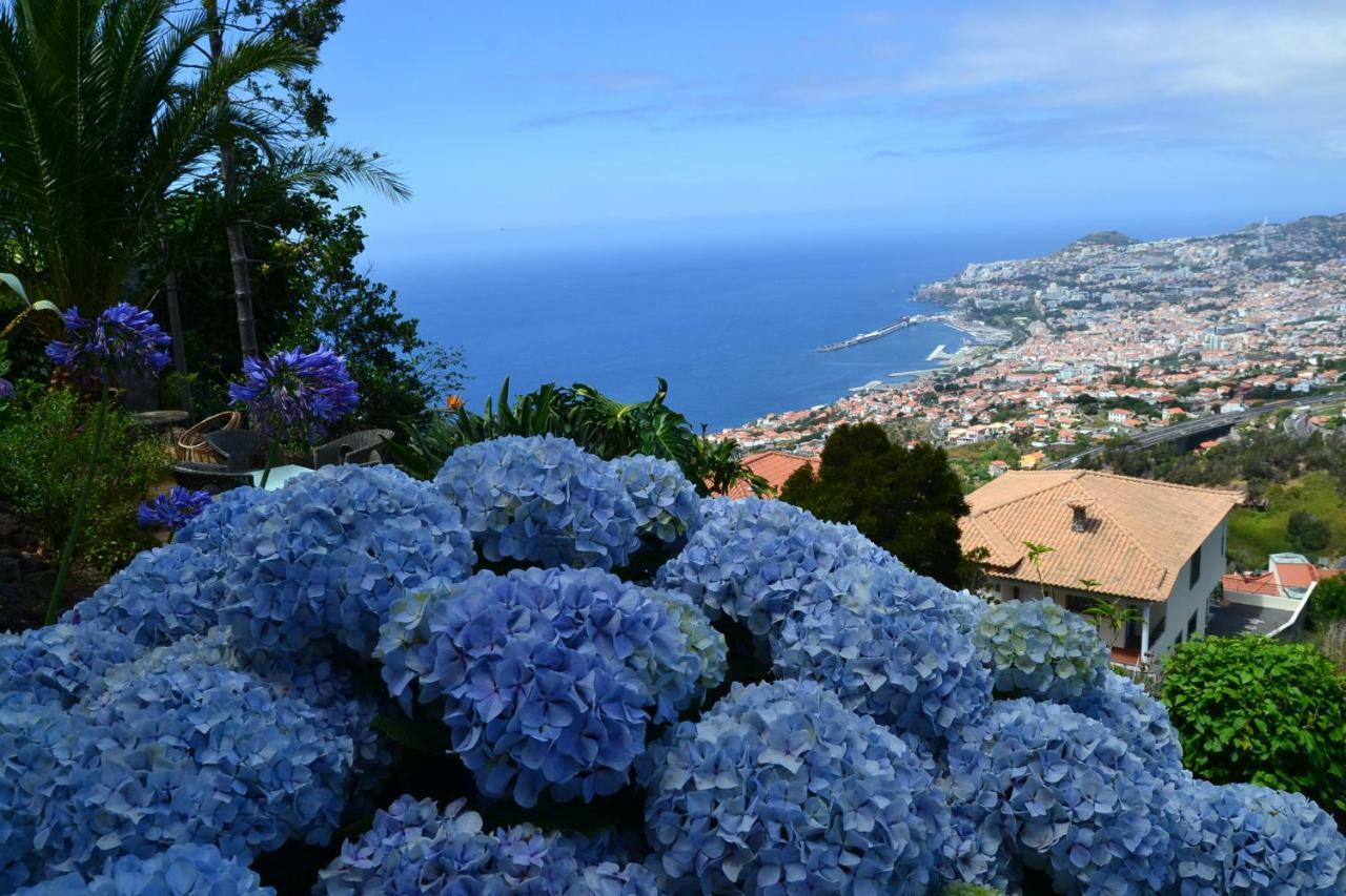 Holiday House 4 You Villa Funchal Dış mekan fotoğraf